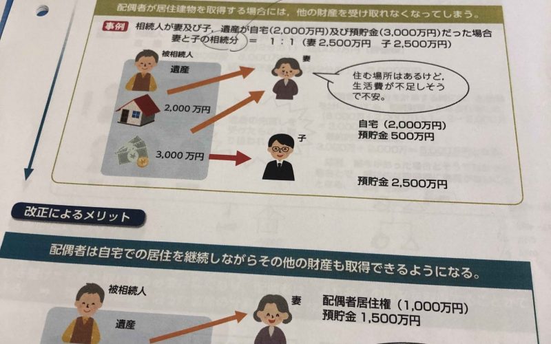 【性善説と性悪説　相続法改正②】20190129　毎日更新29日目 サムネイル