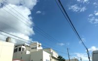 【同族会社への消費税の影響　消費税改正②】20190208　毎日更新39日目 サムネイル