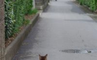 【大先輩から学ぶ、お見送り】20190510　毎日更新130日目 サムネイル