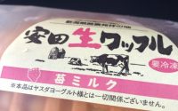 【なぜこの表記を入れるようになったのか】　20190813　毎日更新225日目 サムネイル
