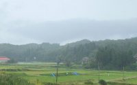 【3つのマナー違反】20191016　毎日更新288日目 サムネイル