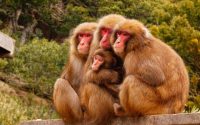 【マウンティングする側とされる側】20191026　毎日更新298日目 サムネイル