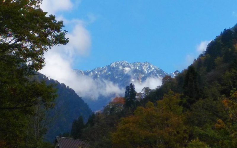 【白いを　きる】20191119 サムネイル