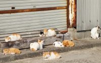 【会議の冒頭に大きな目的と小さな目的を伝える】20191105 サムネイル