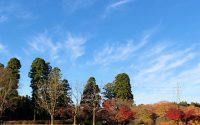 【悪いクセは本番に出る】20191201 サムネイル