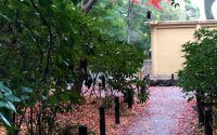 【頭の中の時間】20191226 サムネイル