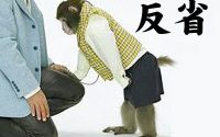 【反省ならサルでもできる】20200109　374日目 サムネイル