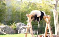 【同じことの繰り返し】20200625 サムネイル
