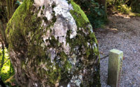 【苔のむすまで】20201116 サムネイル