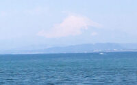 【任期制を推しすすめましょう】2022/04/12 サムネイル