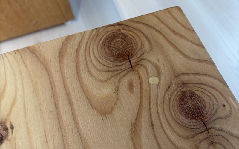 【値段の差は？】2026/01/01 サムネイル